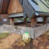 6 Außengelände_neu_Vogelhaeuschen